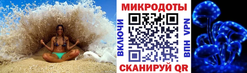 где найти наркотики  Эртиль  гидра рабочий сайт  Псилоцибиновые грибы GOLDEN TEACHER 